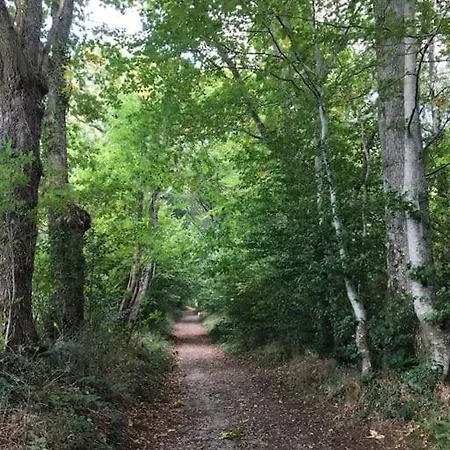 Ferienhaus Calme Et Fonctionnel Pivert *